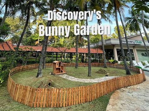 Bunny Garden Discovery Ancol