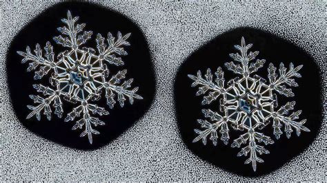 Who Ever Said No Two Snowflakes Were Alike The New York Times