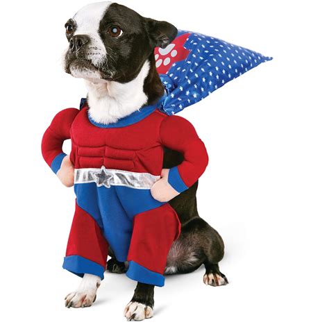 Halloween Costume Ideas For Dogs Festival Around The World