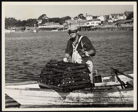 Lobster Fisherman Maine New Harbor 1943 Digital Commonwealth