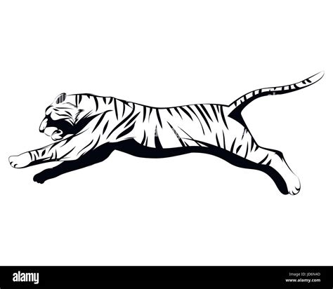 Vector Illustration Of A Big Tiger Jumping Stock Vector Image Art Alamy