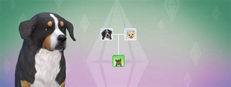 Playable Pets Mod For The Sims 4 Anacetoz