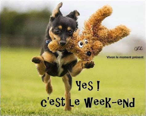Bon Week End Image 5645 Yes Cest Le Week End Bon Week End Humour Cest Le Week End