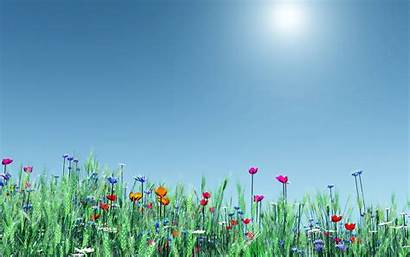 Spring Wallpapers Theme Flowers Themes Background Backgrounds