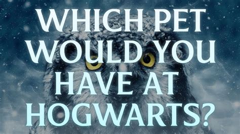 Which Pet Would You Have At Hogwarts Harry Potter Pet Quiz Youtube