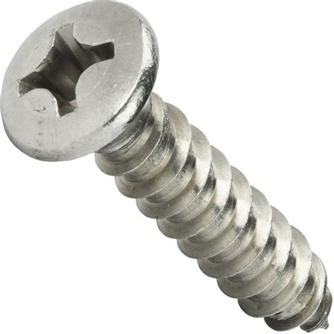 6 Self Tapping Sheet Metal Screws Phillips Oval Head Stainless Steel All Sizes Ebay