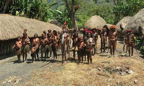 Dani Korowai And Asmat Tribes Adventure Indonesia Explorer