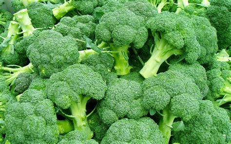 Broccoli Farming Detailed Information Guide