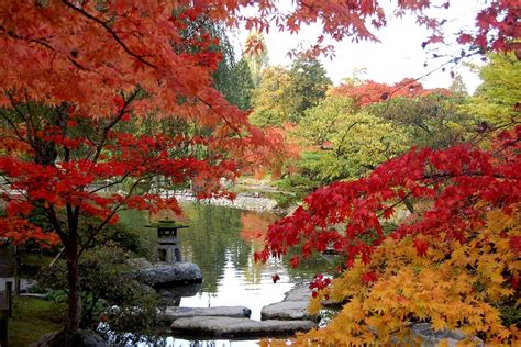 Japanese Garden Parks