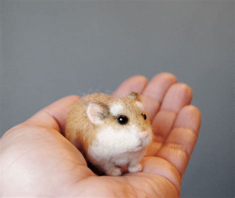 A Small Hamster Sitting On Top Of Someones Palm In Front Of A Gray Wall
