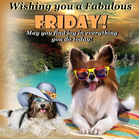 Wishing You A Fabulous Friday Pictures Photos And Images For Facebook