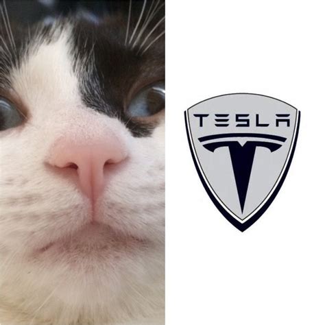 Every Time I See The Tesla Logo Funny