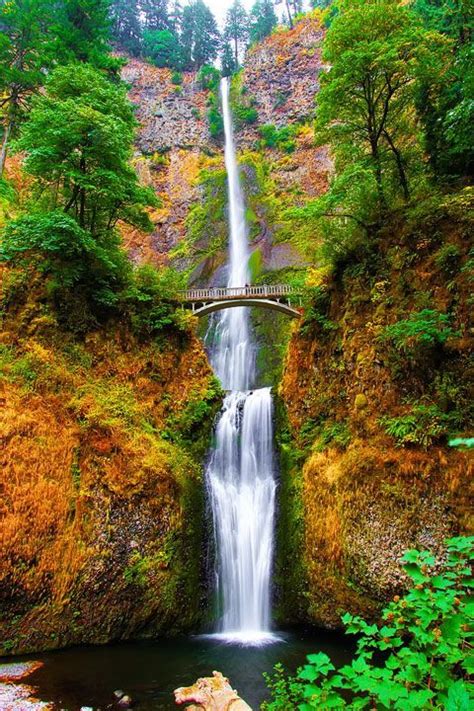 Our World Multnomah Falls Oregon It Is The Tallest Waterfall In