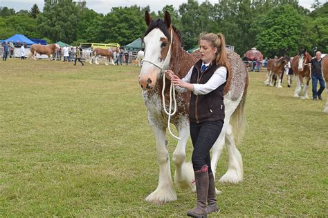 Horses 001 Alyth Agricultural Show 2019 John Mullin Flickr