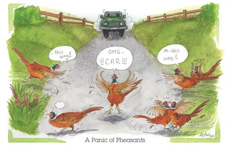 A Panic Of Pheasants Car Coming Alisons Animals Cartoon Greeting Card
