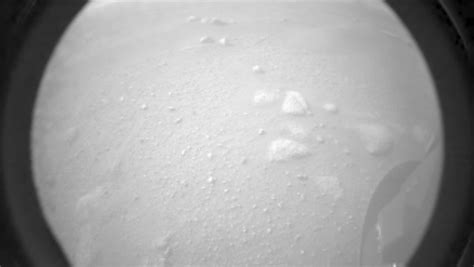 From bbc world servicehow will mars rover the perseverance rover is set to land on mars at 20:55 gmt (15:55 et) after almost. "Was für ein wundervoller Tag": Nasa jubelt über geglückte Mars-Landung - n-tv.de