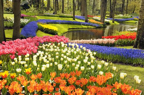 Pictures Of Beautiful Flower Gardens In The World Best Flower Site