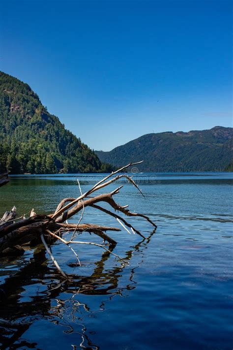 Low Down View Of Lake Cameron Vancouver Island Bc Stock Photo Image