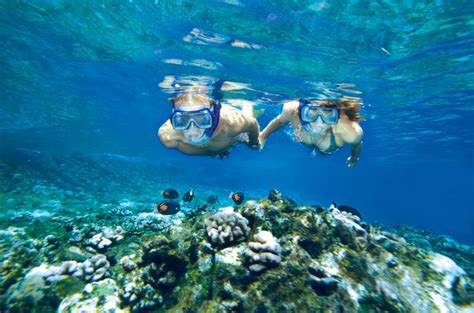 The 8 Best Maui And Molokini Snorkel Tours 2023 Reviews World Guides