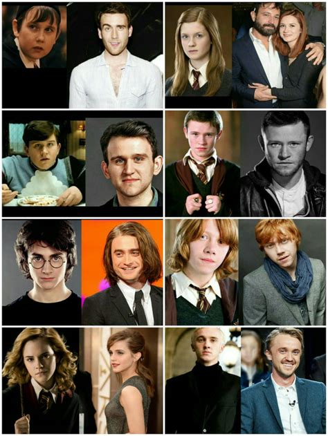 Harry Potter Cast Then Vs Now Gag
