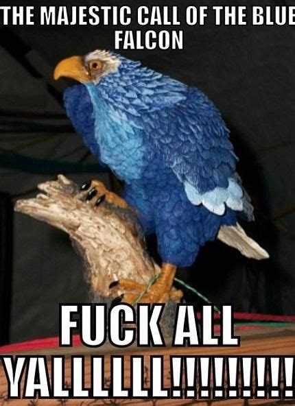 Blue Falcon Funny Posters Funny Cool Stuff