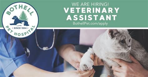 Veterinary Assistant Wanted Bothell Pet Hospital Apply Online