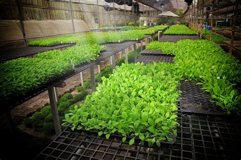 7 Best Commercial Hydroponics Books To Help You Start Or Expand Your