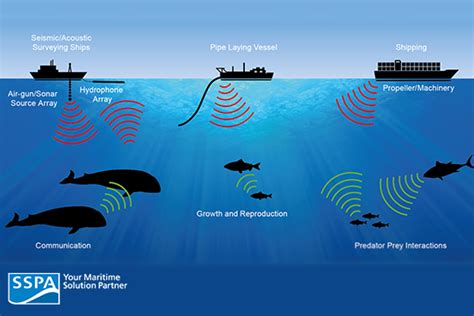 Shipping And Underwater Radiated Noise Sspa