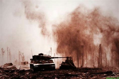 Tiger In Action July 1943 Battle Of Kursk Rwwiipics