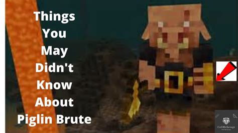Things You Probably Didnt Know About Piglin Brutes In Minecraft 20w29a
