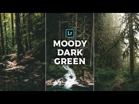 Portrait or fashion photography will look great in black and white processing. MODDY DARK GREEN PRESET lightroom - YouTube