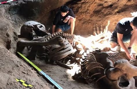 Ancient Giant Skeleton Discovered In Krabi Cave Confirms Legend Of The