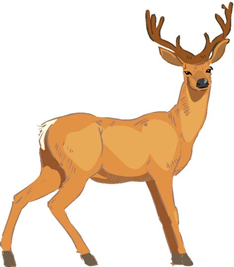Deer Vector Art Clipart Clipartcow Clipartix