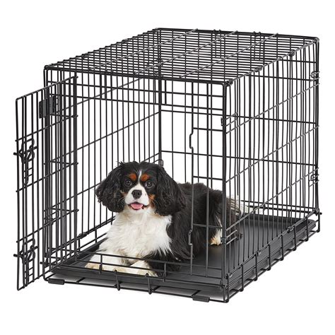 Buy Medium Dog Crate Midwest Life Stages 30 Folding Metal Dog Crate