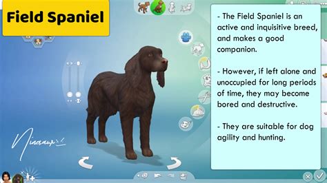 Sims 4 Dog Breeds