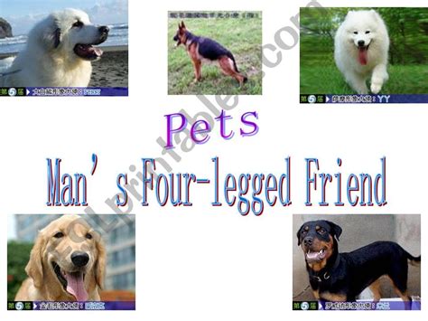 Esl English Powerpoints Men´s Best Friend Dogs
