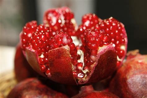 Sejak dulu, manfaat delima sudah dirasakan dalam hal kecantikan dan juga kesehatan. Manfaat Buah Pome untuk Kesehatan | Republika Online
