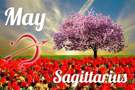 Horoscope Sagittarius May 2023 Tarot Monthly Horoscope