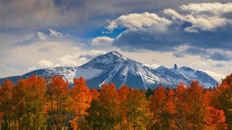 Autumn Trees With Mountains Hd Wallpaper