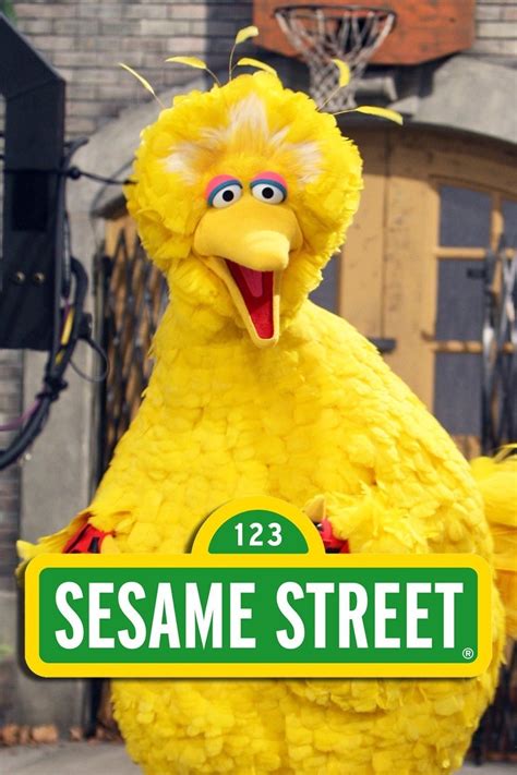 Sesame Street Season 47 Pictures Rotten Tomatoes