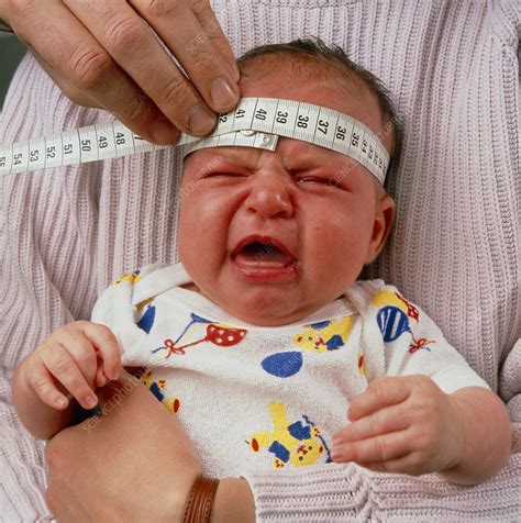 Babys Head Size Being Measured Stock Image M8250444 Science