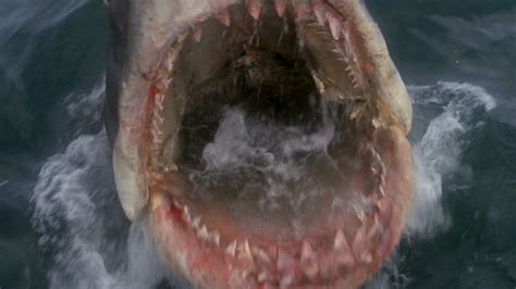 Huge sale on jaws now on. Jaws (1975) - Now Very Bad...