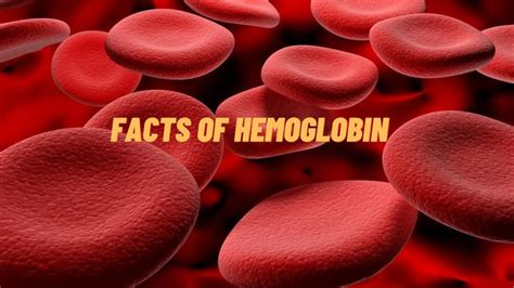 Facts Of Hemoglobin Youtube