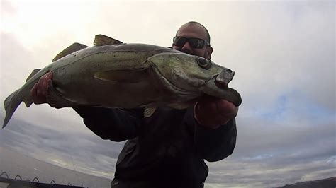 Good Fish When Weather Allows Youtube