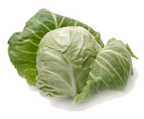 Cabbage Png Transparent Images Png All