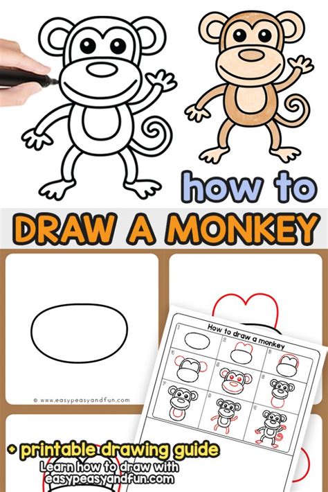 How To Draw A Monkey Step By Step Drawing Guide Monkey Drawing Easy