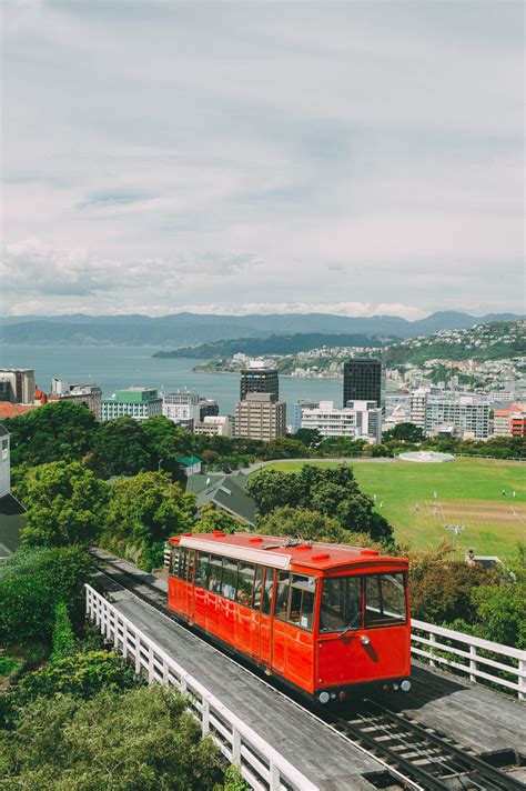 15 Best Things To Do In Wellington New Zealand Hand Luggage Only