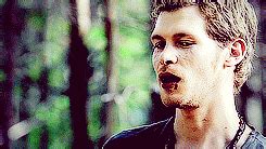 Klaus mikaelson has always had a witch in his possession and he is in need of a new one, willing or not. Niklaus Mikaelson. - Klaus Photo (34002856) - Fanpop