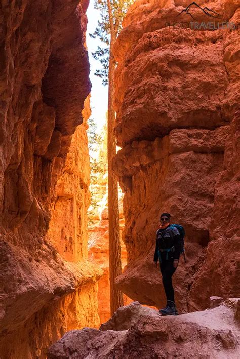 Navajo Loop Trail Traumhafte Wanderung Im Bryce Canyon