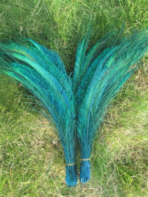 wholesale beautiful sky blue peacock feather sword 50 pcs symmetrical 30 35 cm 12 14 inches